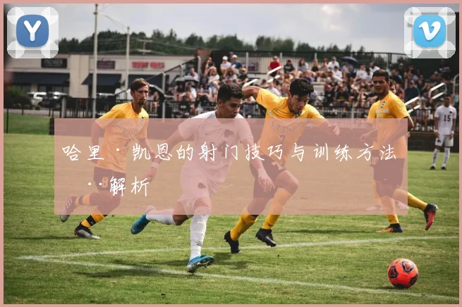 哈里·凯恩的射门技巧与训练方法全解析