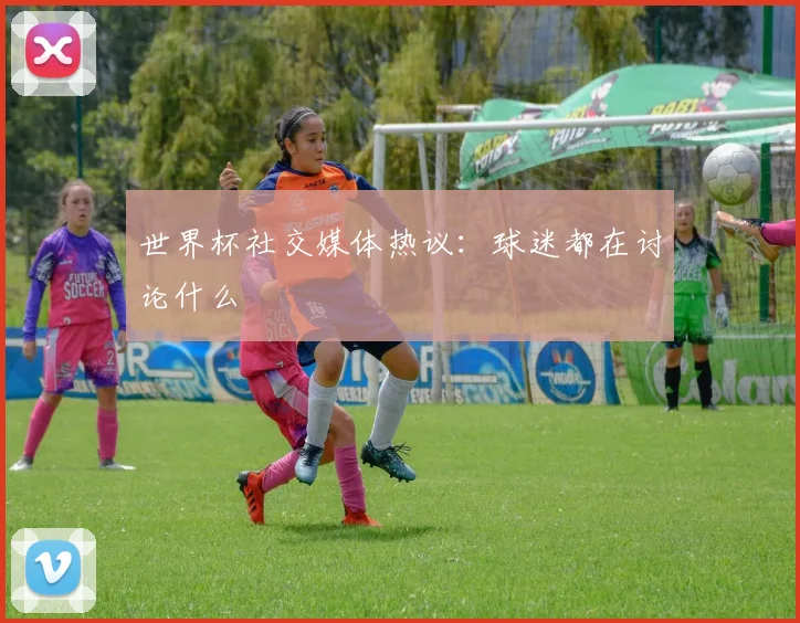 世界杯社交媒体热议：球迷都在讨论什么